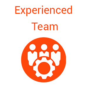 Experienced Team