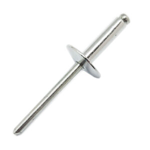 4.8 x 21 Large flange rivet