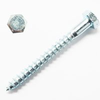 8 x 30 Coach Screw